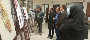 بازدید سرپرست معاونت پژوهشی دانشگاه ملی مهارت (آقای دکتر احمدی) از آموزشکده حضرت رقیه (س) 2