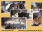 روز درختکاری در آموزشکده ملی مهارت دختران حضرت رقیه(س) یزد
