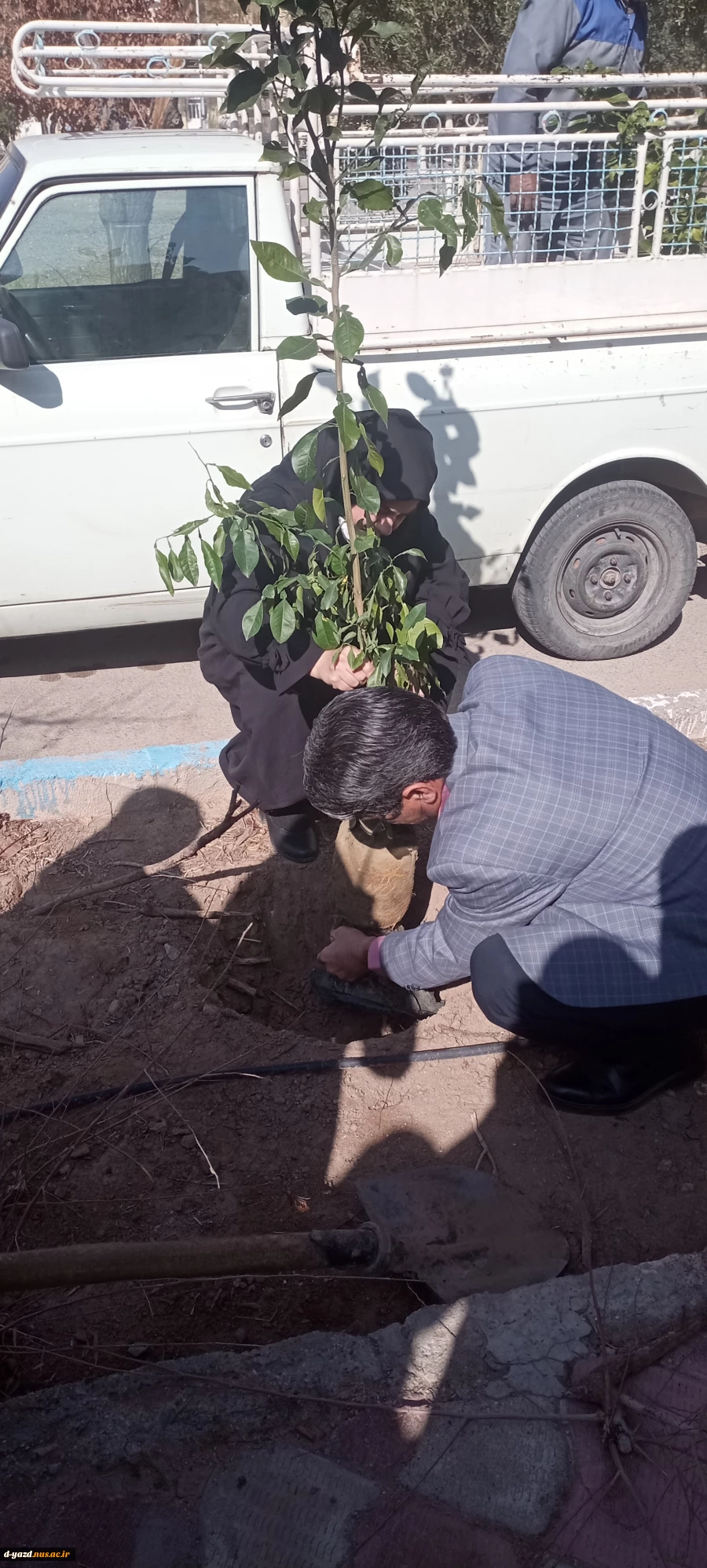 روز درختکاری در آموزشکده ملی مهارت دختران حضرت رقیه(س) یزد 2
