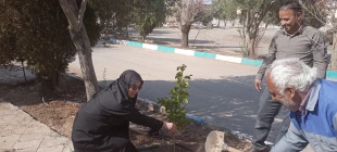 روز درختکاری در آموزشکده ملی مهارت دختران حضرت رقیه(س) یزد 6