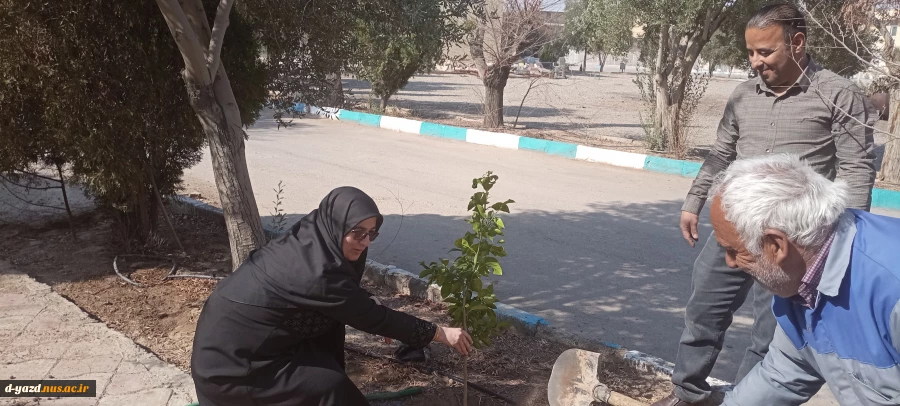 روز درختکاری در آموزشکده ملی مهارت دختران حضرت رقیه(س) یزد 6
