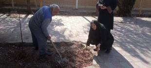 روز درختکاری در آموزشکده ملی مهارت دختران حضرت رقیه(س) یزد 9