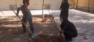 روز درختکاری در آموزشکده ملی مهارت دختران حضرت رقیه(س) یزد 10