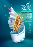 فراخوان جشنواره سراسری فیلم کوتاه و عکس 